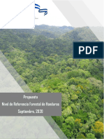 NRF Honduras Septiembre 2020