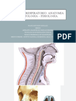 Sistema Respiratorio