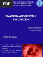 Anatomia Del Recto