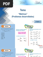 Problemas - Matrices - Salvador - 5to A