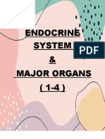 Endocrine System & Major Organs (1-4)