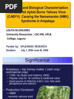 Molecular and Biological Characterization of Cucurbit Aphid-Borne Yellows Virus (CABYV) Causing The Namamarako (NMK) Syndrome in Ampalaya