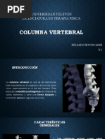 Columna Vertebral