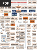 Mapa Conceptual Deportes