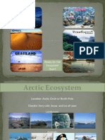 Ecosystems Powerpoint