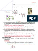 Netics Worksheet With Keys