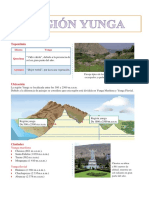 La Región Yunga para Sexto Grado de Primaria