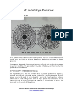 Capitulo 2. Experto en Iridologia Profesional