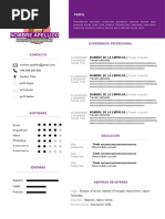 164 Curriculum Vitae Innovador