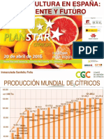 Sanfeliu Pstar Citricos Valencia