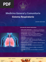 Sistema Respiratorio