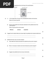 Digestive System 2