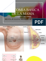 Anatomia Basica de La Mama