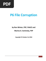 P6 File Corruption