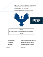 Etapas Del Proceso Penal Monografia