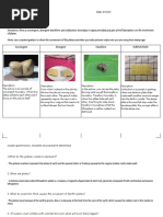 Group 3 Plate Tectonic Activity