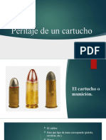 Peritaje de Un Cartucho