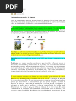 Mejoramiento Genético de Plantas Autógamas