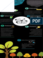 Diagnostico Rural Participativo