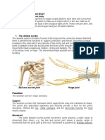 Make-Up of The Human Body