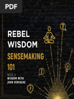 Rebel Wisdom: Sensemaking 101