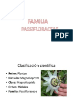 PASSIFLORACEAE