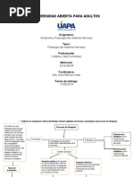 Tarea 4 Anatomia