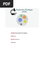 Anatomia y Fisiologia Celular