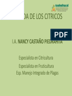 La Poda de Los Citricos - CC