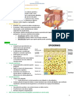 Livro Dermato