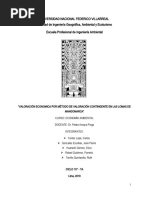 Informe Valoracion Contingente