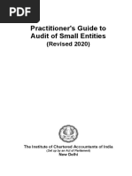 Practitioner S Guide To Audit of Small Entities Revised 2020