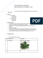 Bagi Kelompok 2 Praktikum Struktur Morfologi Daun