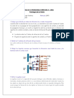 Practica #4 MED 411 Vision