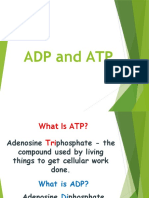 1 Atp-Adp