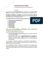 Ii Parcial Kinesiologia