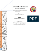 REPORTE p4 Química Orgánica 