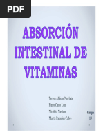 Absorp Intest VIT