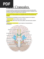 Pares Craneales