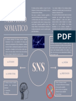 Sistema Nervioso Somatico