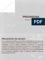 PREDNISONA 