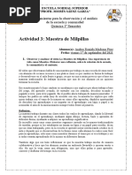 Actividad 3. La Maestra de Milpillas