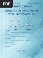 Informe Delta Estrella