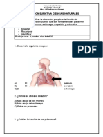 Evaluación Sumativa Ciencias 2° B