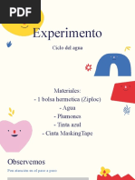 Experimento