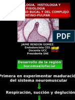 Embriología Dental