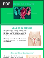 IMPRIMIR Cancer de Cervix