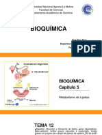 Capitulo 5 - Bioquímica