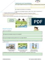 FICHA DE APLICACIÓN - CIENCIA y TECNOLOGÍA-Las Taricayas en El Ecosistema.-20-10-2021