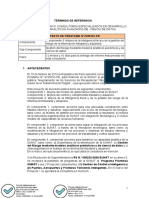 TDR - ConsultoriaPGCI Visado KN (R)